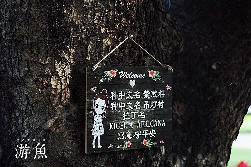 杰茜的欢乐时光